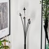 Lampadaire - Verre 10 cm Bernado Clair, 5 lumières