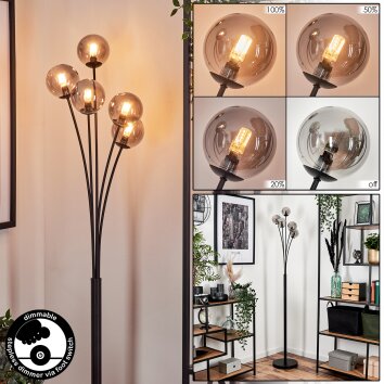 Lampadaire - Verre 10 cm Bernado Fumé, 5 lumières Lampadaire - Verre 10 cm Bernado Fumé, 5 lumières