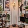 Lampadaire - Verre 10 cm Bernado Ambre, 5 lumières