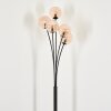 Lampadaire - Verre 12 cm Bernado Ambre, 5 lumières