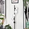 Lampadaire - Verre 10 cm Remaisnil Blanc, 5 lumières