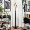 Lampadaire - Verre 10 cm Bernado Ambre, 5 lumières