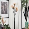 Lampadaire - Verre 10 cm Bernado Ambre, 5 lumières