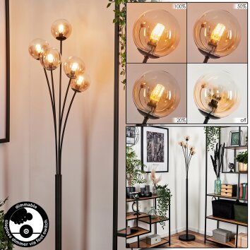 Lampadaire - Verre 10 cm Bernado Ambre, Clair, 5 lumières Lampadaire - Verre 10 cm Bernado Ambre, Clair, 5 lumières