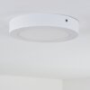plafonnier extérieur Leto LED Blanc, 1 lumière