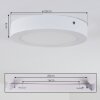 plafonnier extérieur Leto LED Blanc, 1 lumière