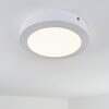 plafonnier extérieur Leto LED Blanc, 1 lumière