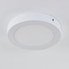 plafonnier extérieur Leto LED Blanc, 1 lumière
