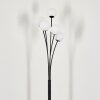 Lampadaire - Verre 10 cm Bernado Blanc, 5 lumières