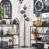 Lampadaire - Verre 15 cm Gastor Fumé, 4 lumières