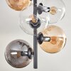 Plafonnier - Verre 15 cm Gastor Ambre, Clair, Fumé, 6 lumières