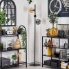 Lampadaire - Verre 15 cm Gastor Ambre, Clair, Fumé, 3 lumières