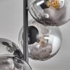 Plafonnier - Verre 15 cm Gastor Clair, Fumé, 4 lumières