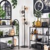 Lampadaire - Verre 15 cm Gastor Ambre, Clair, Fumé, 5 lumières