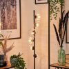 Lampadaire - Verre 10 cm, 12 cm, 15 cm Remaisnil Clair, 6 lumières