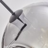 Suspension - Verre 30 cm Ripoll Clair, Fumé, 3 lumières