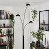 Lampadaire Nikkala Noir, 3 lumières