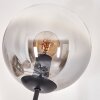 Lampadaire - Verre 15 cm Gastor Clair, Fumé, 6 lumières