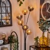 Lampadaire - Verre 15 cm Gastor Ambre, Clair, Fumé, 6 lumières