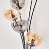 Lampadaire - Verre 15 cm Gastor Ambre, Clair, Fumé, 6 lumières