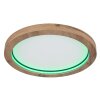 Plafonnier Globo BRANZA LED Noir, 1 lumière, Télécommandes