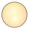 Plafonnier Globo INGEBORG Noir, 2 lumières