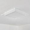 Plafonnier Haumonia LED Blanc, 2 lumières, Télécommandes, Changeur de couleurs