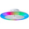 Plafonnier Brilliant Salerno LED Blanc, 1 lumière, Télécommandes