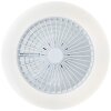 Plafonnier Brilliant Salerno LED Blanc, 1 lumière, Télécommandes