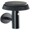 Applique murale d'extérieur Brilliant Alvero LED Noir, 1 lumière, Détecteur de mouvement