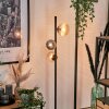 Lampadaire - Verre 10 cm, 12 cm Remaisnil Noir, 3 lumières