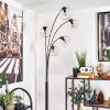 Lampadaire - Verre 15 cm Koyoto Clair, 5 lumières