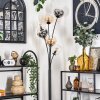 Lampadaire - Verre 15 cm Gastor Ambre, Clair, Fumé, 6 lumières