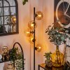 Lampadaire - Verre 15 cm Gastor Ambre, Clair, 5 lumières