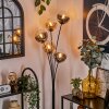 Lampadaire - Verre 15 cm Gastor Ambre, Clair, Fumé, 5 lumières
