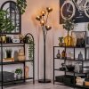 Lampadaire - Verre 15 cm Gastor Ambre, Clair, Fumé, 5 lumières