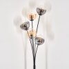 Lampadaire - Verre 15 cm Gastor Ambre, Clair, Fumé, 5 lumières