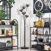 Lampadaire - Verre 15 cm Gastor Clair, Fumé, 5 lumières