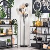 Lampadaire - Verre 15 cm Gastor Ambre, Fumé, 5 lumières