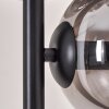 Lampadaire - Verre 15 cm Gastor Noir, 5 lumières