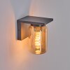 Applique murale d'extérieur Aquin Anthracite, 1 lumière