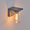 Applique murale d'extérieur Aquin Anthracite, 1 lumière