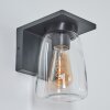 Applique murale d'extérieur Aquin Anthracite, 1 lumière