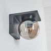 Applique murale d'extérieur Aquin Anthracite, 1 lumière