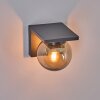Applique murale d'extérieur Aquin Anthracite, 1 lumière