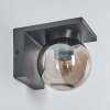 Applique murale d'extérieur Aquin Anthracite, 1 lumière