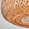 Plafonnier 30 cm Bauro Noir, 1 lumière