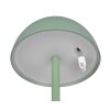 Lampe de table Reality RICARDO LED Vert, 1 lumière