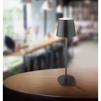 Salgadinho Lampe de table d'extérieur Luminaires Globo Lighting LED Anthracite, 1 lumière Salgadinho Lampe de table d'extérieur Luminaires Globo Lighting LED Anthracite, 1 lumière