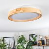 Sofo Plafonnier LED Blanc, 1 lumière